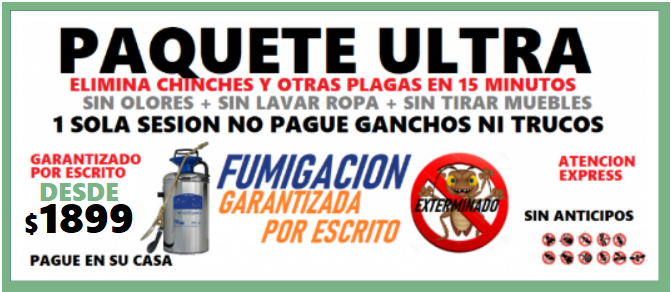 PROMOCION FUMIGACION cucarachas